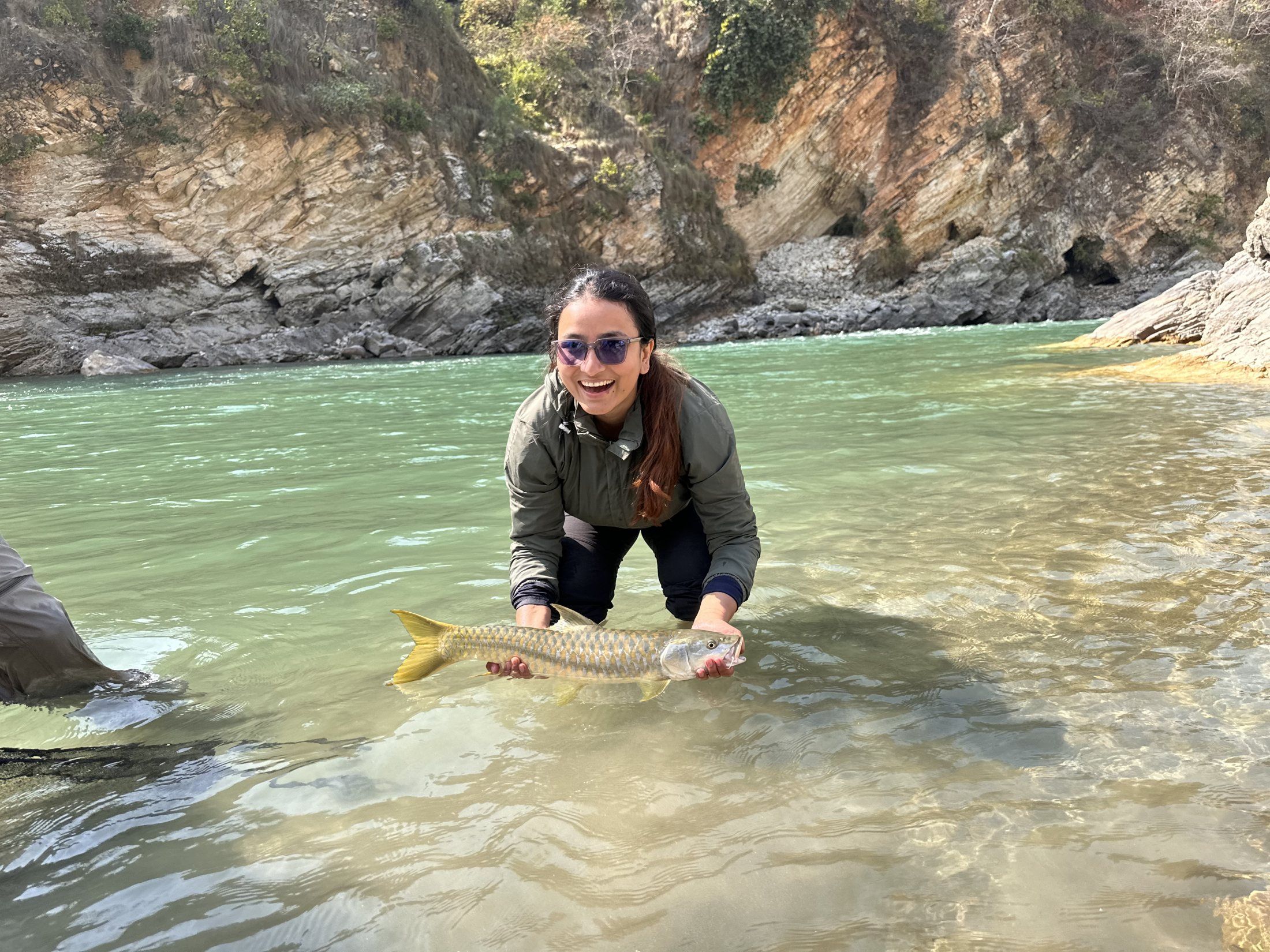 Elisha Ghimire crouching in a river holding a golden mahseer, cliffs behind
